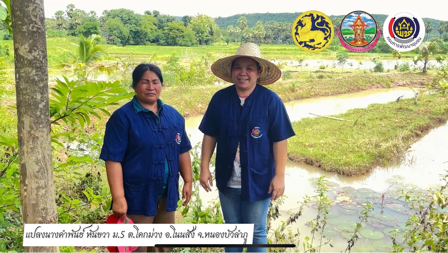 ?☀️สำนักงานพัฒนาชุมชนอำเภอโนนสัง พาชมผลความสำเร็จแปลงโคกหนองนาอำเภอโนนสัง แปลงของนางคำพันธ์ ขันขวา ม.5 ต.โคกม่วง อ.โนนสัง จ.หนองบัวลำภู ??