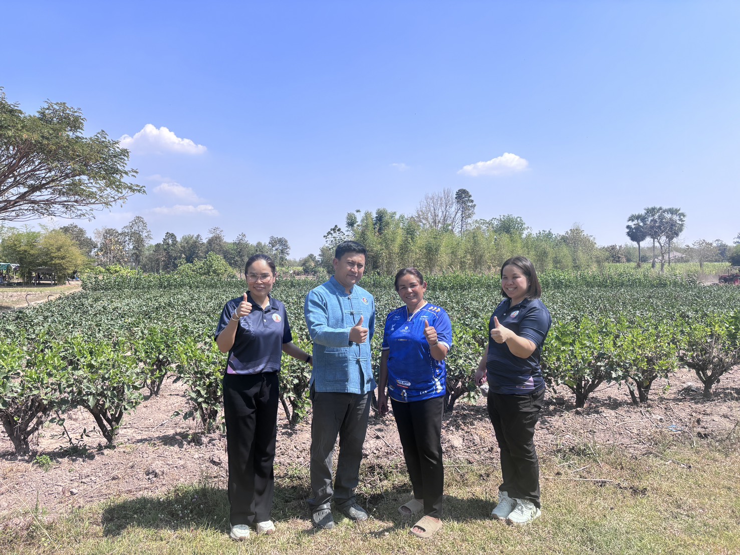 🌾☘️ สพอ.โนนสัง สำรวจพื้นที่ปลูกหม่อนเลี้ยงไหม ในพื้นที่อำเภอโนนสัง 🐟🌾